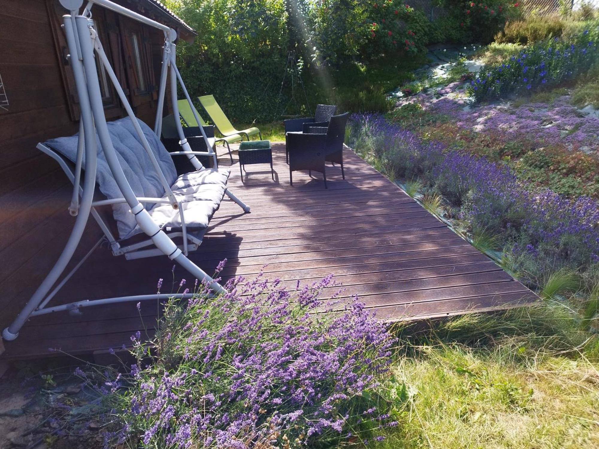 Apartment Lavender Retreat *