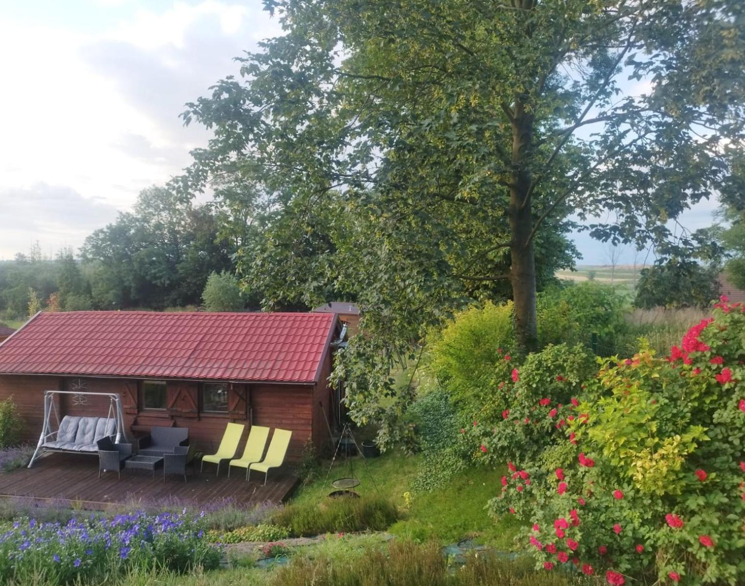 Lavender Retreat * Krakau